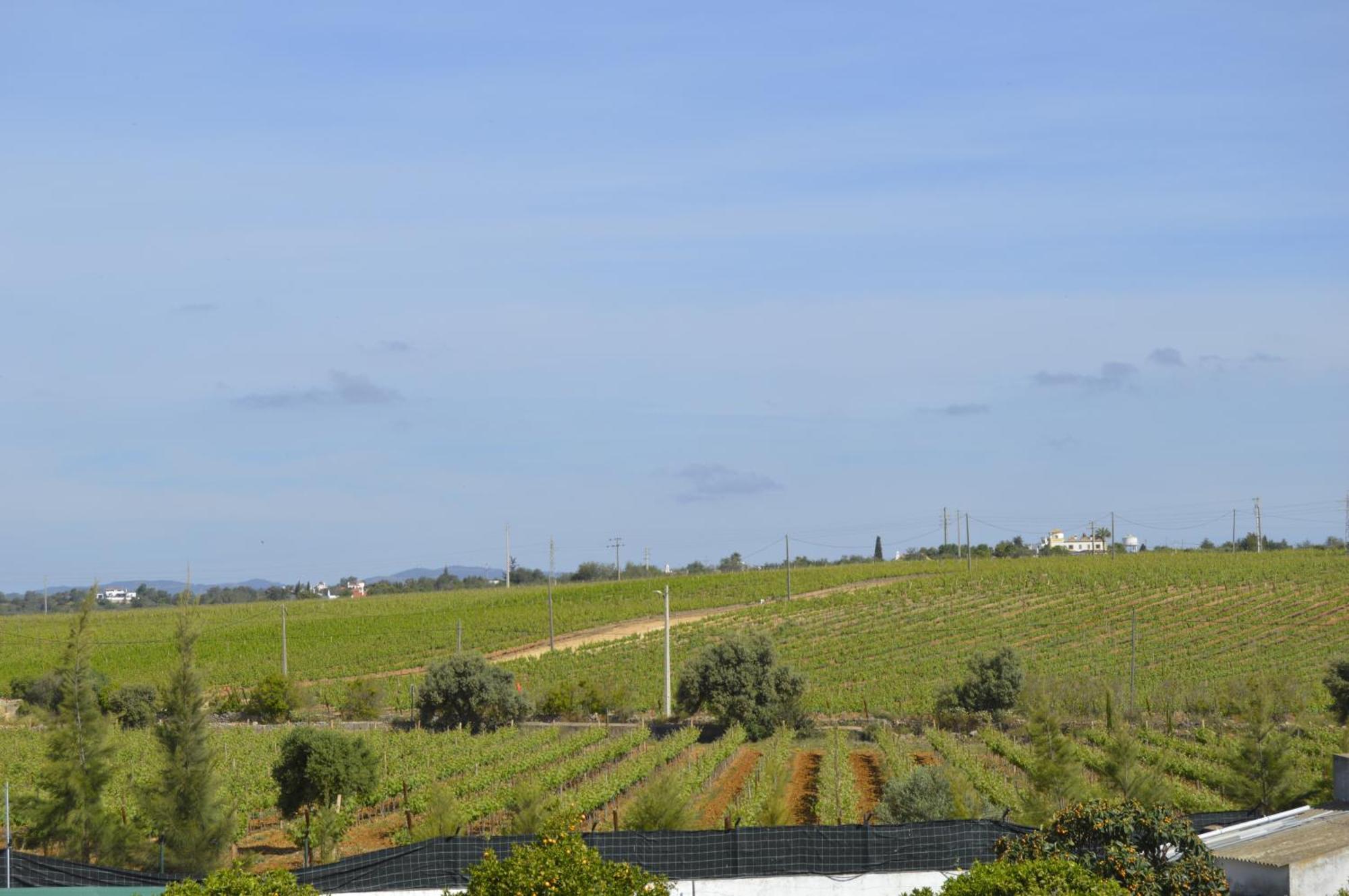 Tavira Vacations Apartments 외부 사진